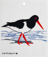 Oyster Catcher