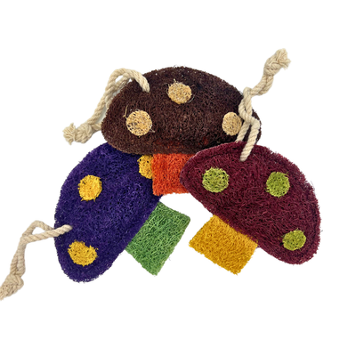 Mushroom Loofah