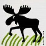 Moose In Grass