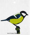 Parus Major