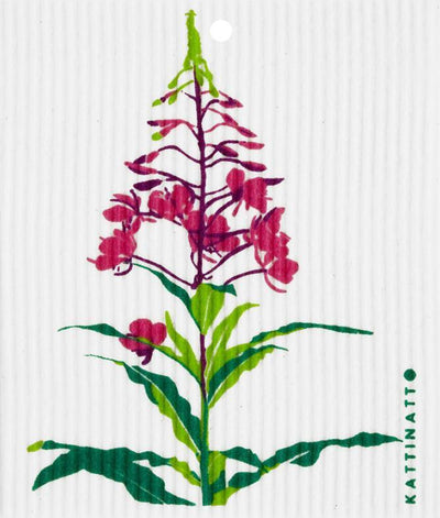 Fireweed