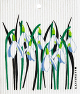 Snowdrops Regular