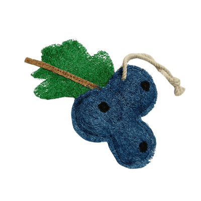 Blueberry Loofah
