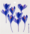 Crocus