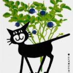 Cat in Blueberry Forest